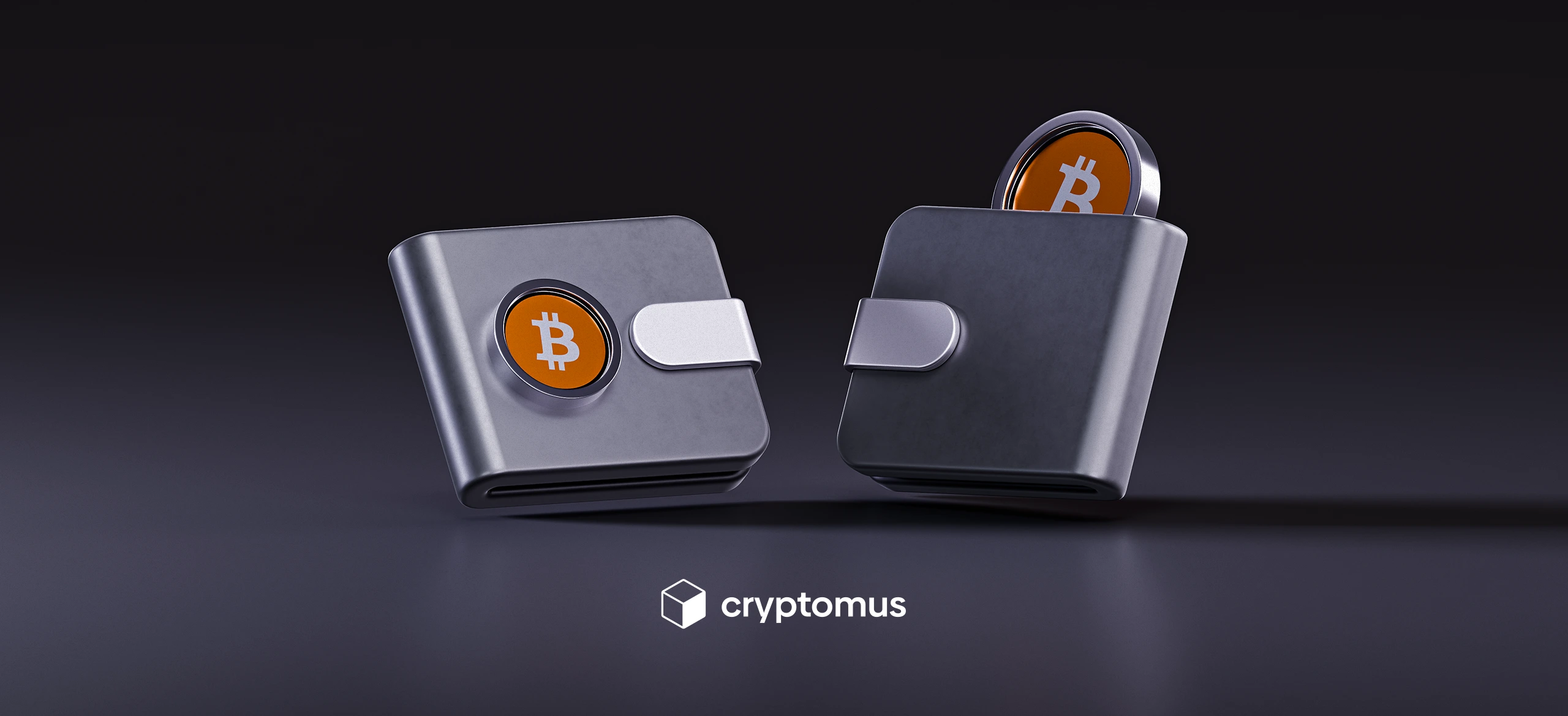 Custodial vs Non-Custodial Wallets