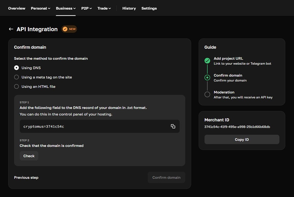 API integration2