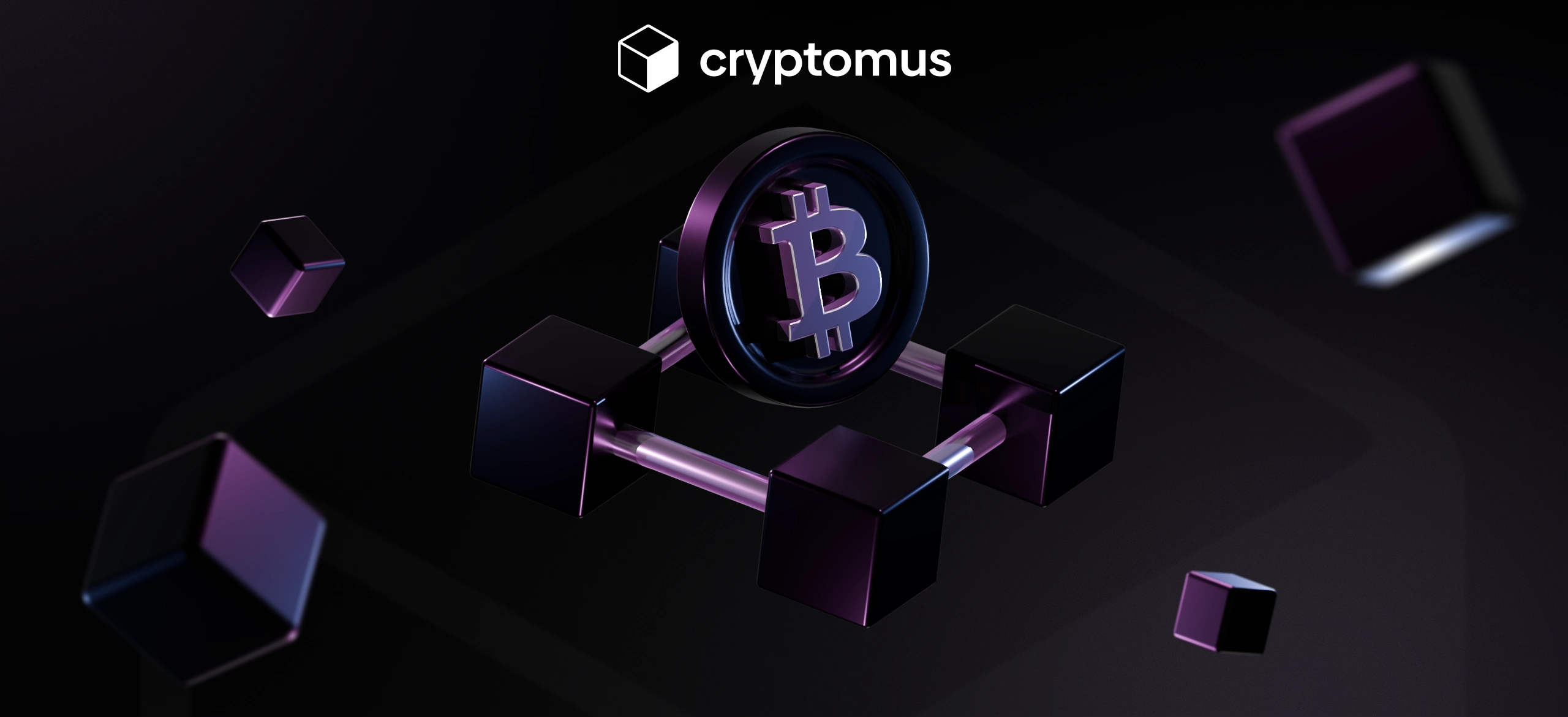 ¿Es Bitcoin descentralizado o centralizado?