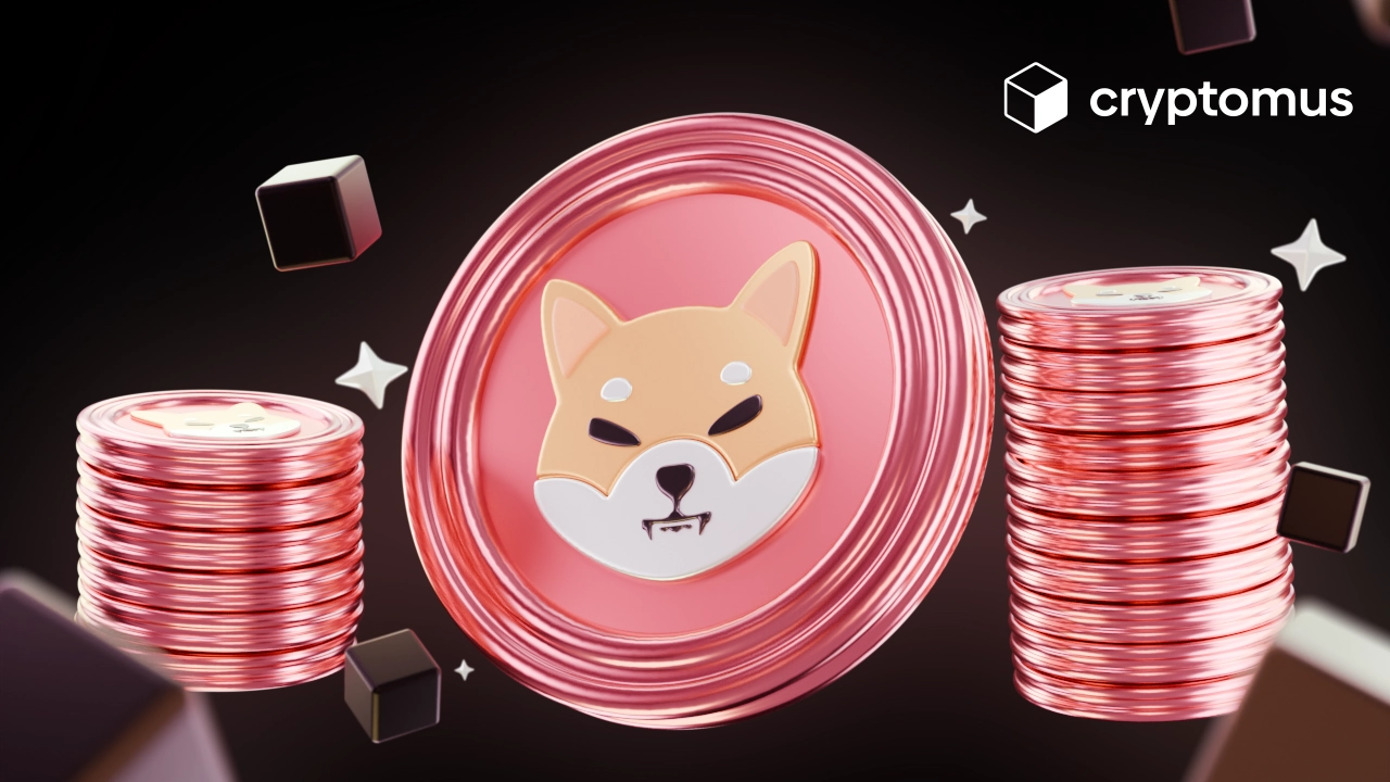 Як ставити Shiba Inu