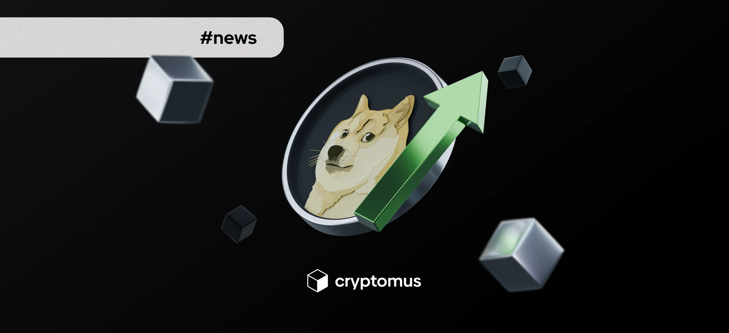 Dogecoin Rises 4% on Spike in Whale Activity