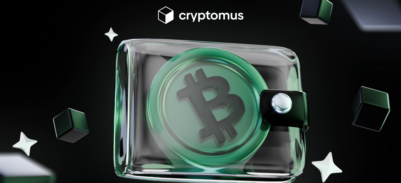 Bitcoin Cash (BCH) Cüzdanı Nasıl Oluşturulur