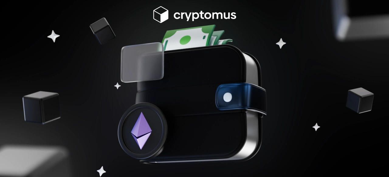 Apa Itu Software Wallet