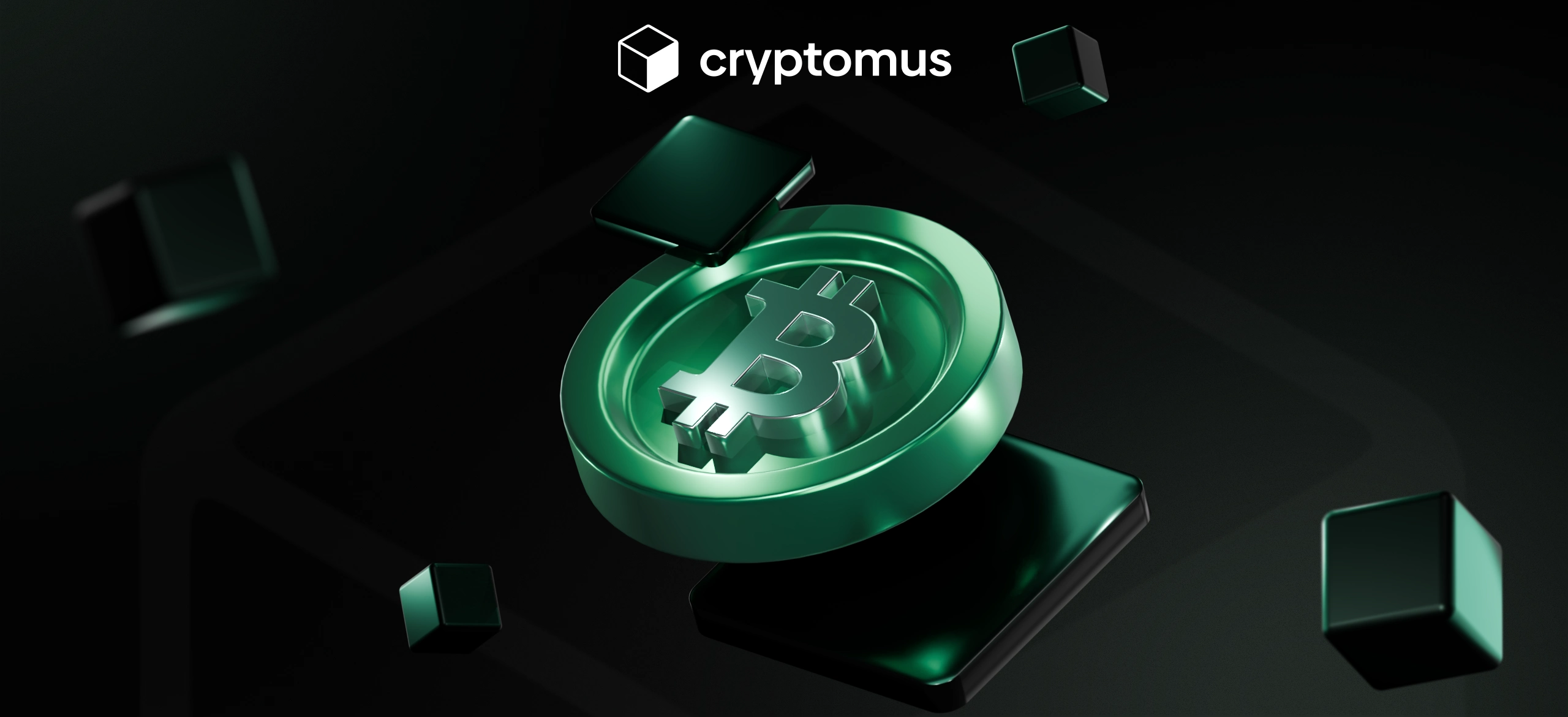 Cara Menerima Pembayaran Bitcoin Cash (BCH)