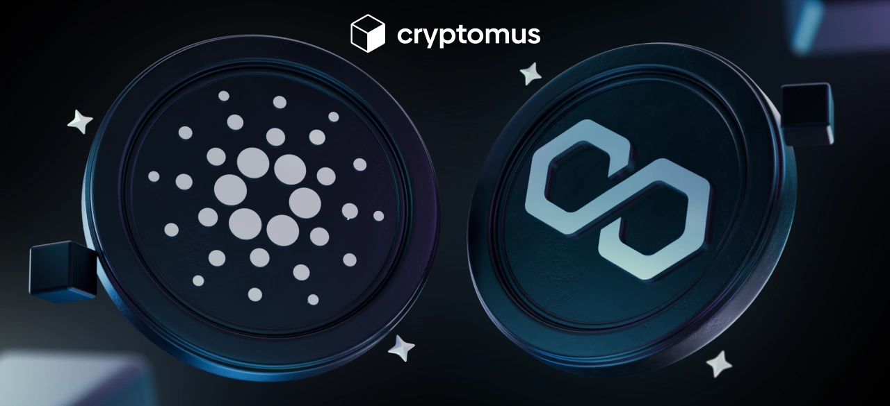 Cardano Vs Polygon : Une Comparaison Complète